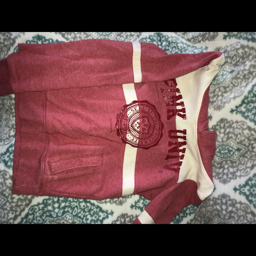 PINK UNIVERSITY hoody